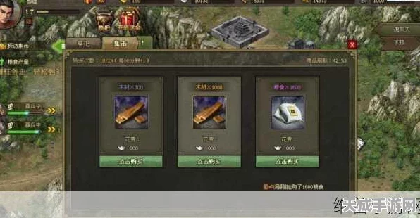 攻城掠地，等级战必胜攻略与高效通关秘籍大揭秘