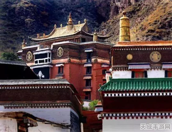 揭秘一梦江湖清土深层含义，江湖纷争中的净土追寻