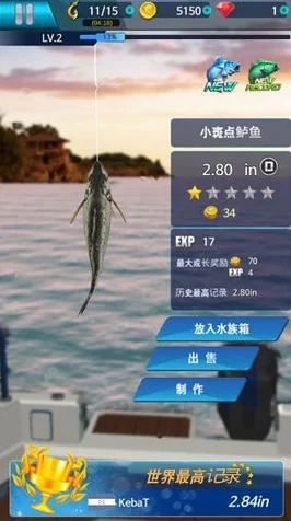 黑色沙漠钓鱼大赛全攻略，揭秘钓鱼秘境与必胜技巧