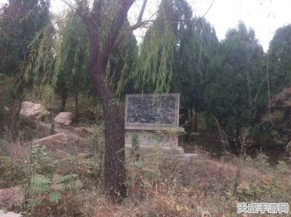 黑神话，悟空深度攻略，揭秘博山炉道具的高效获取策略与深度解析