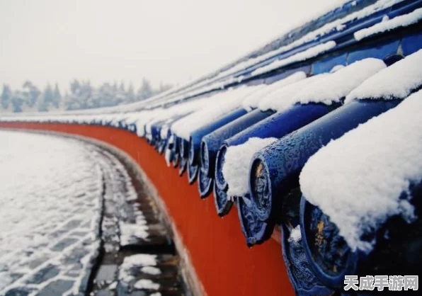 诛仙手游，揭秘雪花落下隐藏任务全攻略，赢取珍稀奖励！