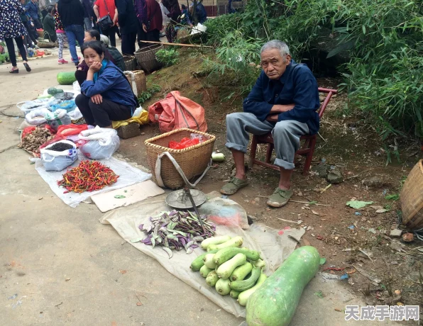 桃源深处有人家，桃源乡赶集全攻略，解锁集市新玩法！