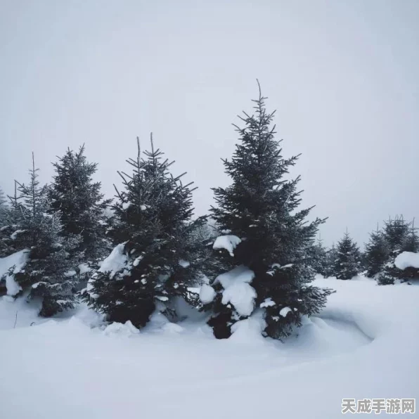 揭秘寂静岭2结局迷雾再现，背后隐藏的秘密与玩家热议