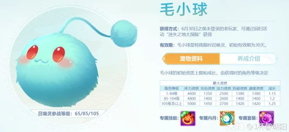 梦幻西游手游，揭秘毛小球宠物获取攻略，限时活动不容错过！