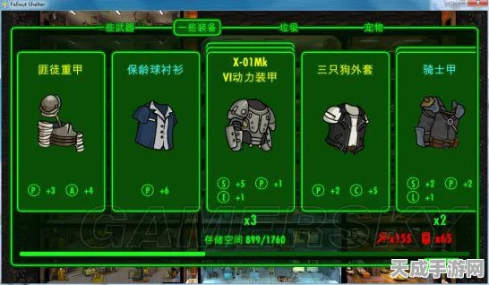 辐射，避难所幸福攻略大揭秘！掌握关键技巧，打造乐园级避难所