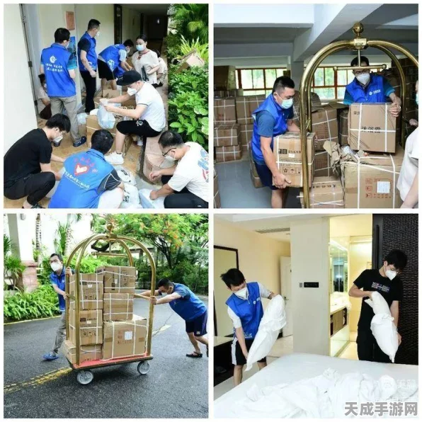 星际战甲新攻略，搬运者P配卡全解析，打造无敌战场利器