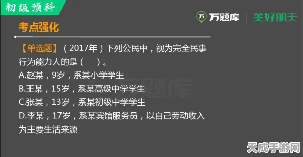 独家揭秘，代号百家墨桃深度评测与实战心得，解锁隐藏玩法！