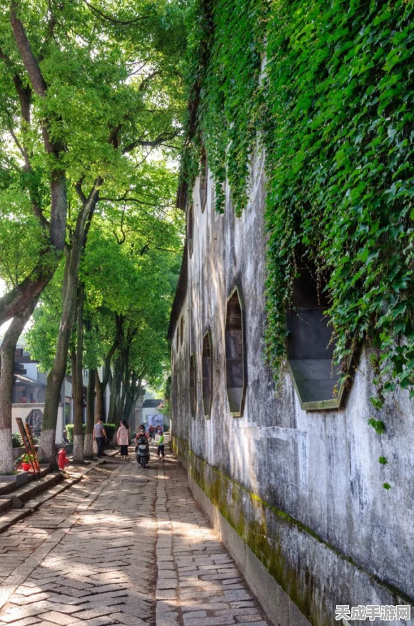 紫藤园秘境深探，江南百景图高效上岛回岛全攻略揭秘