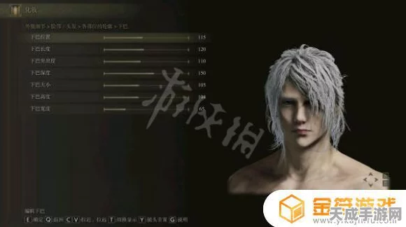 艾尔登法环，打造专属男神！男性角色捏脸技巧与绝美数据分享
