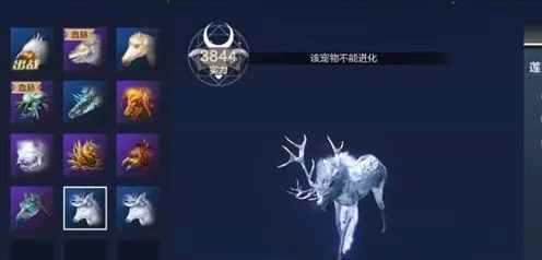 妄想山海，宠物寿命延长秘籍大公开，解锁高效恢复与增益策略