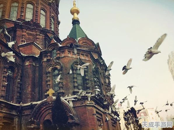 光遇秘境探秘，解锁秘密基地顶楼，启程梦幻奇妙之旅全攻略