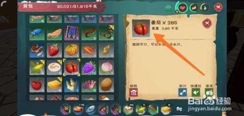 创造与魔法深度攻略，羊排汤烹饪秘籍与资源高效管理策略