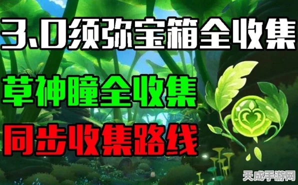 原神雨林探险必备，草神瞳全攻略，查漏补缺不遗漏！