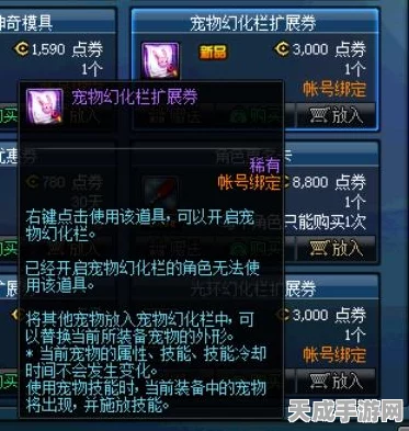 DNF豪礼放送，20000代币券免费领取全攻略，限时活动速来参与！