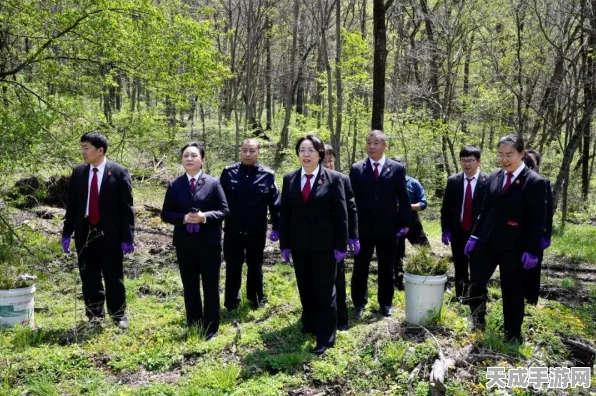 红石遗迹争霸赛，揭秘破坏者实力，深度剖析其属性效果