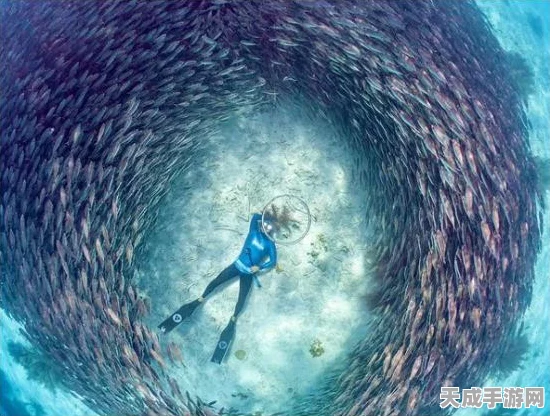 航海王热血航线，阿鲁巴拿宝箱全攻略，揭秘宝藏位置与丰厚奖励！