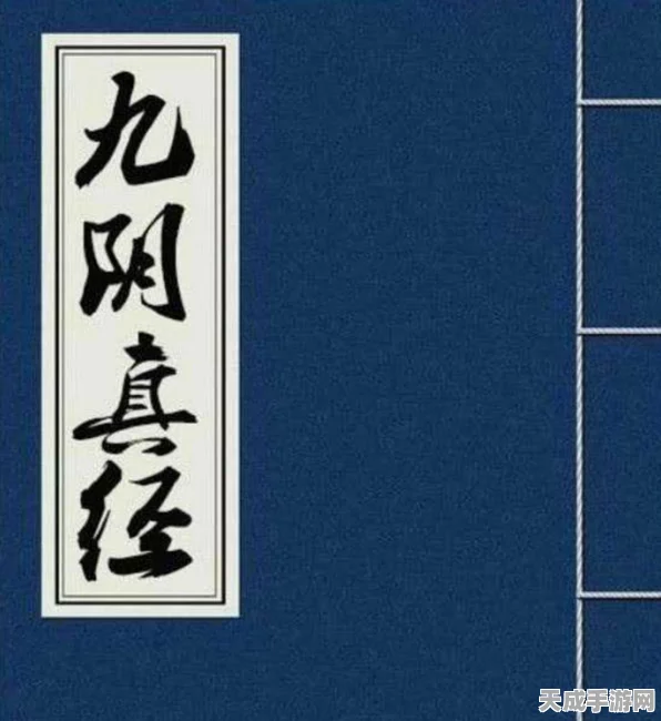 九阴真经内功全揭秘，修炼方法与特色详解
