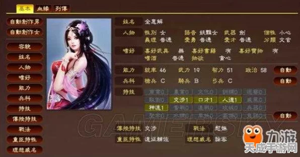 三国志13速婚秘籍，解锁高效联姻策略，称霸乱世情缘