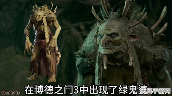 博德之门3深度攻略，揭秘鬼婆头皮的获取策略与实战技巧