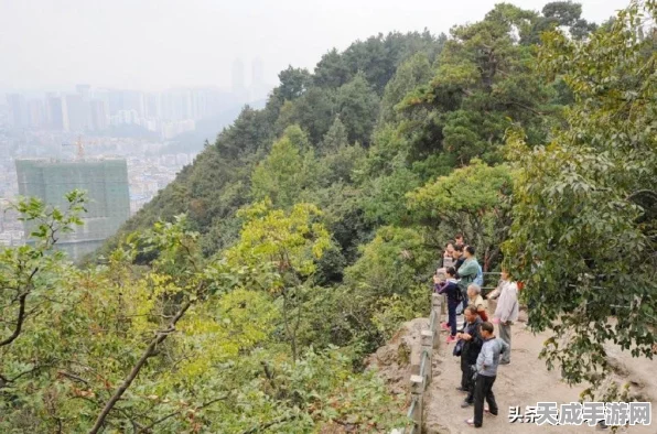 生肖传说重阳佳节庆典，登高赏菊赢取豪华礼包，精彩活动不容错过！