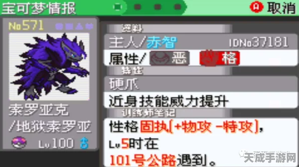 口袋妖怪探险，深入揭秘漆黑的魅影秘传技能大赛全攻略