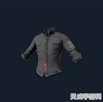 绝地求生五花肉套装，绝版疑云与游戏内珍稀物品追踪