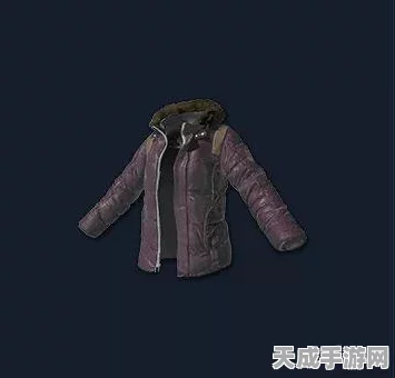 绝地求生五花肉套装，绝版疑云与游戏内珍稀物品追踪