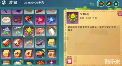 创造与魔法登录难题全解析，卡顿与无法进入的终极解决方案