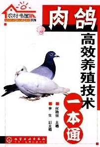 代号肉鸽新手必看，高效卡组搭配策略与实战技巧揭秘