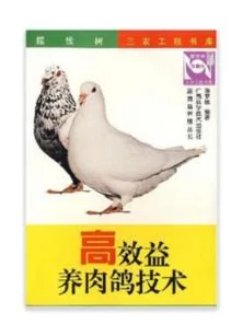 代号肉鸽新手必看，高效卡组搭配策略与实战技巧揭秘