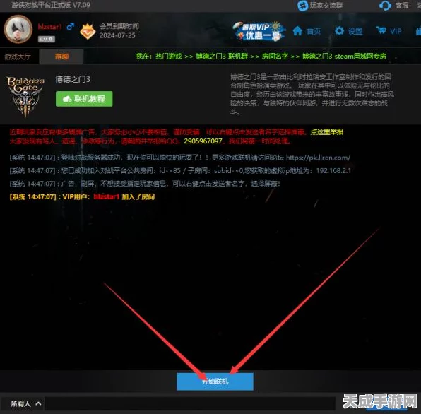 博德之门3局域网联机攻略，游侠对战平台深度解析与实战技巧