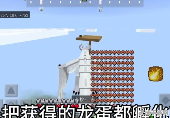 我的世界探险攻略，揭秘龙蛋获取秘籍，解锁终极驯龙之旅