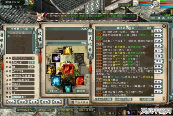 大话西游手游，顶尖玩家揭秘血宠技能搭配秘籍