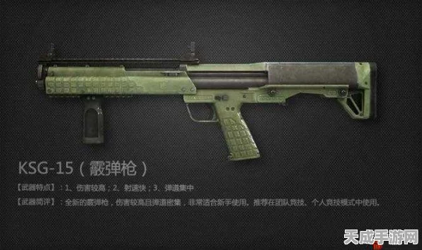 香肠派对深度解析，KSG枪械身体与头部伤害梯度揭秘