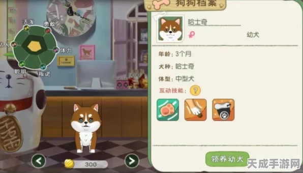 小森生活探索，揭秘狗狗背包购买攻略与游戏新趣闻