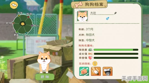 小森生活探索，揭秘狗狗背包购买攻略与游戏新趣闻