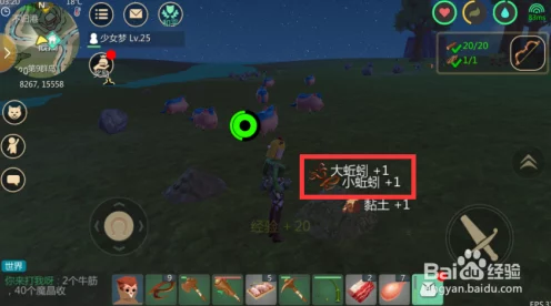手游探索，创造与魔法中河豚饲料的秘密配方大揭秘