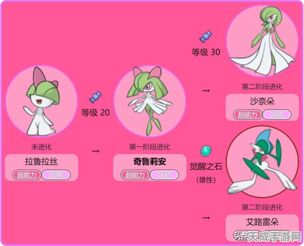 蚊香泳士技能大揭秘，宝可梦竞技场中的水上霸主
