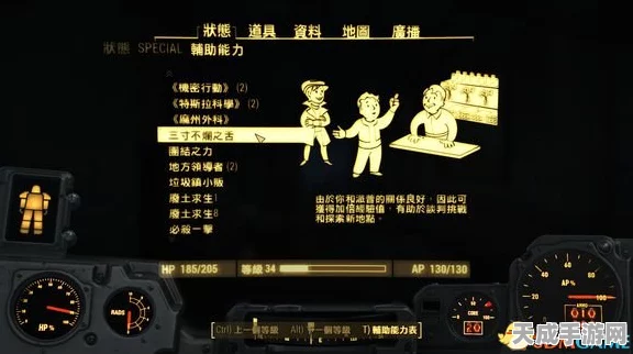 辐射4深度攻略，解锁游戏新境界的必备技巧