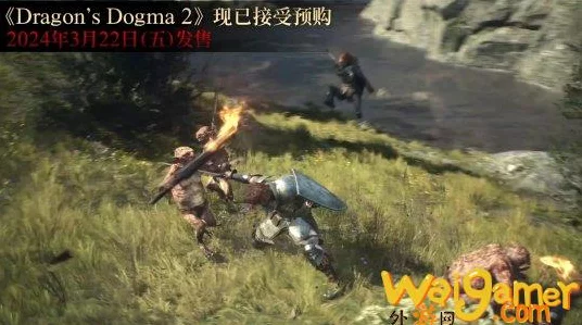 独家揭秘，龙之信条2殉身霸魔弓获取攻略，玩家狂热追捧！