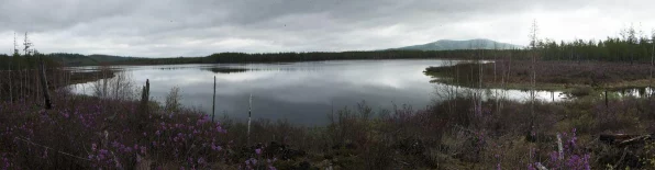 怪物猎人世界，深度剖析回距属性，实战技巧与策略揭秘