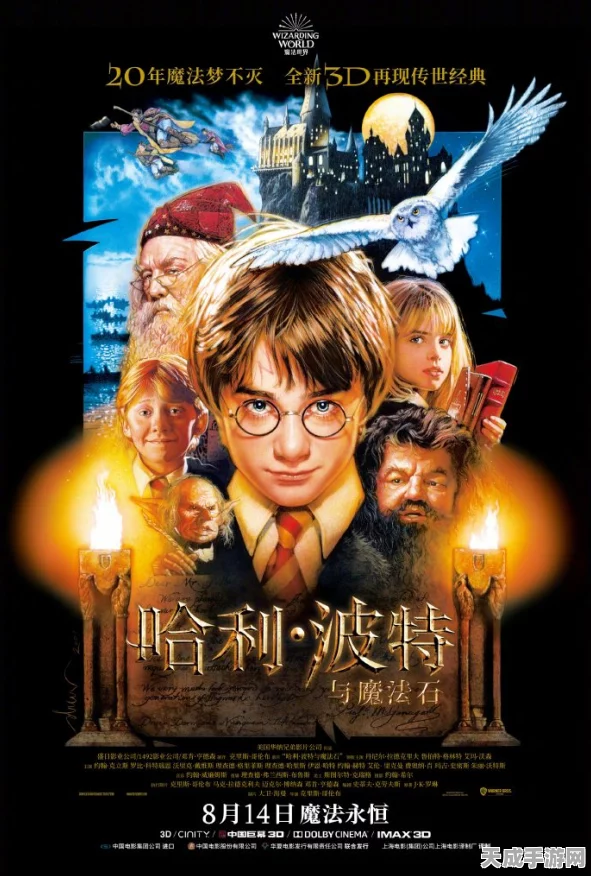 哈利波特魔法觉醒，脸型定制秘籍，打造你的专属巫师形象
