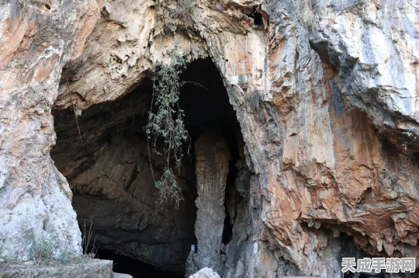 妄想山海探秘，解锁洞天福地的奇幻之旅