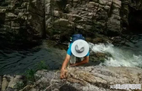迷你世界探险指南，揭秘树藤获取全攻略