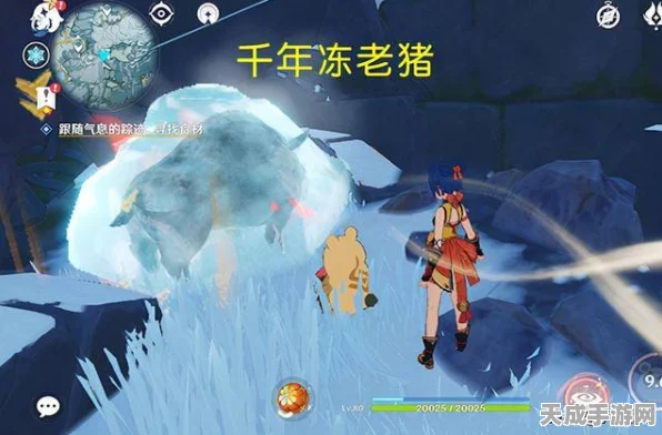 原神攻略秘籍，揭秘留云借风真君秘境通关全攻略