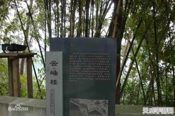王者荣耀段位全解析，攀登荣耀之巅的阶梯