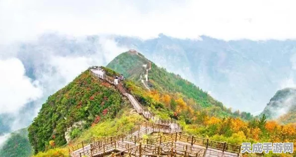 王者荣耀段位全解析，攀登荣耀之巅的阶梯