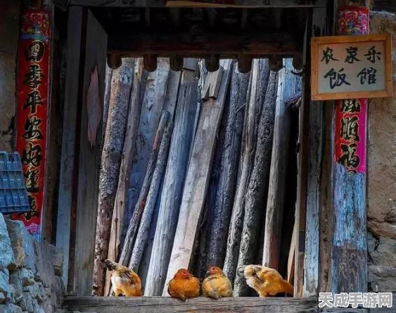 桃源深处有人家，独家揭秘永久兑换码大全及获取攻略