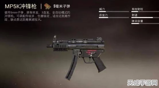 暗区突围，顶尖玩家揭秘，满改枪械终极选择！