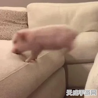 奇迹暖暖天生购物狂搭配大赛攻略，解锁时尚新境界